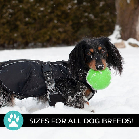 Shedrow K9 Chinook Dog Coat XL Black - Poudre Pet & Feed Supply 3